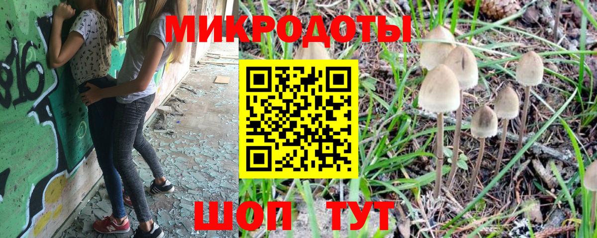 Галлюциногенные грибы Psilocybine cubensis Бугуруслан