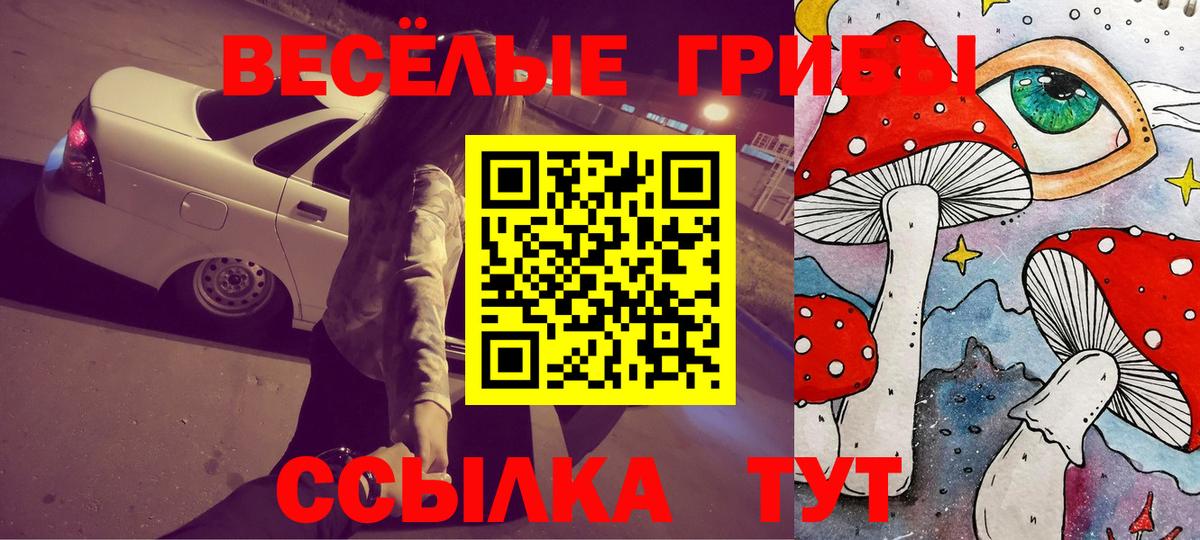 Бугуруслан  Галлюциногенные грибы Cubensis  Вход с VPN 